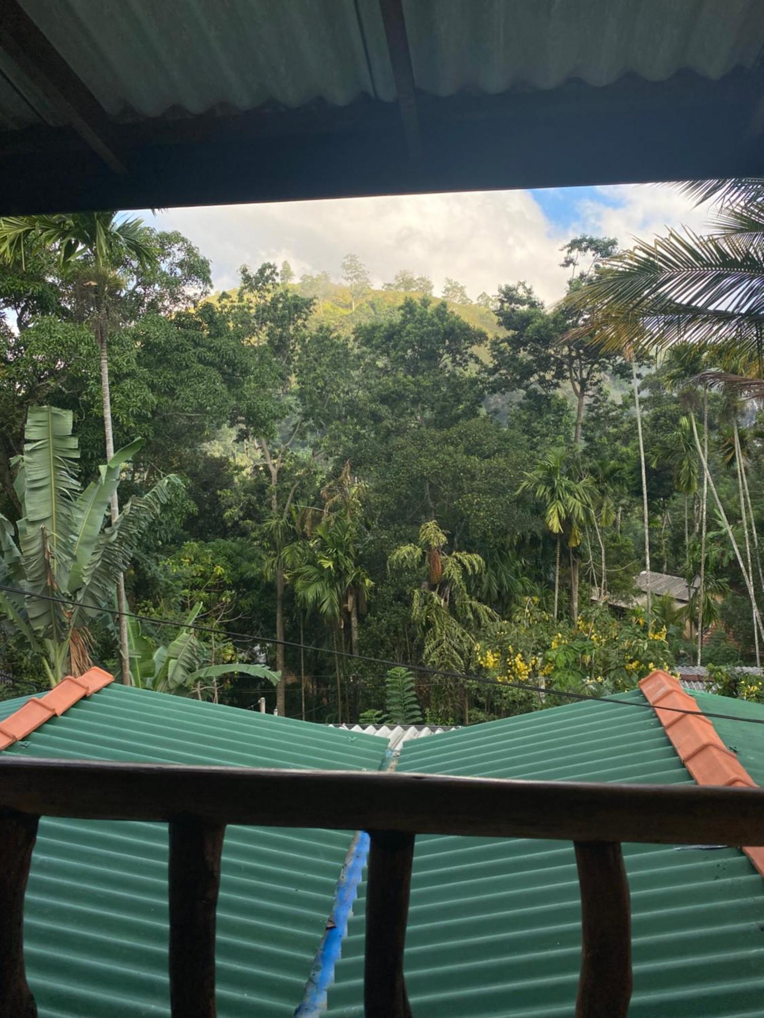 Cozy Homestay Waterfall Road Ella Exterior foto