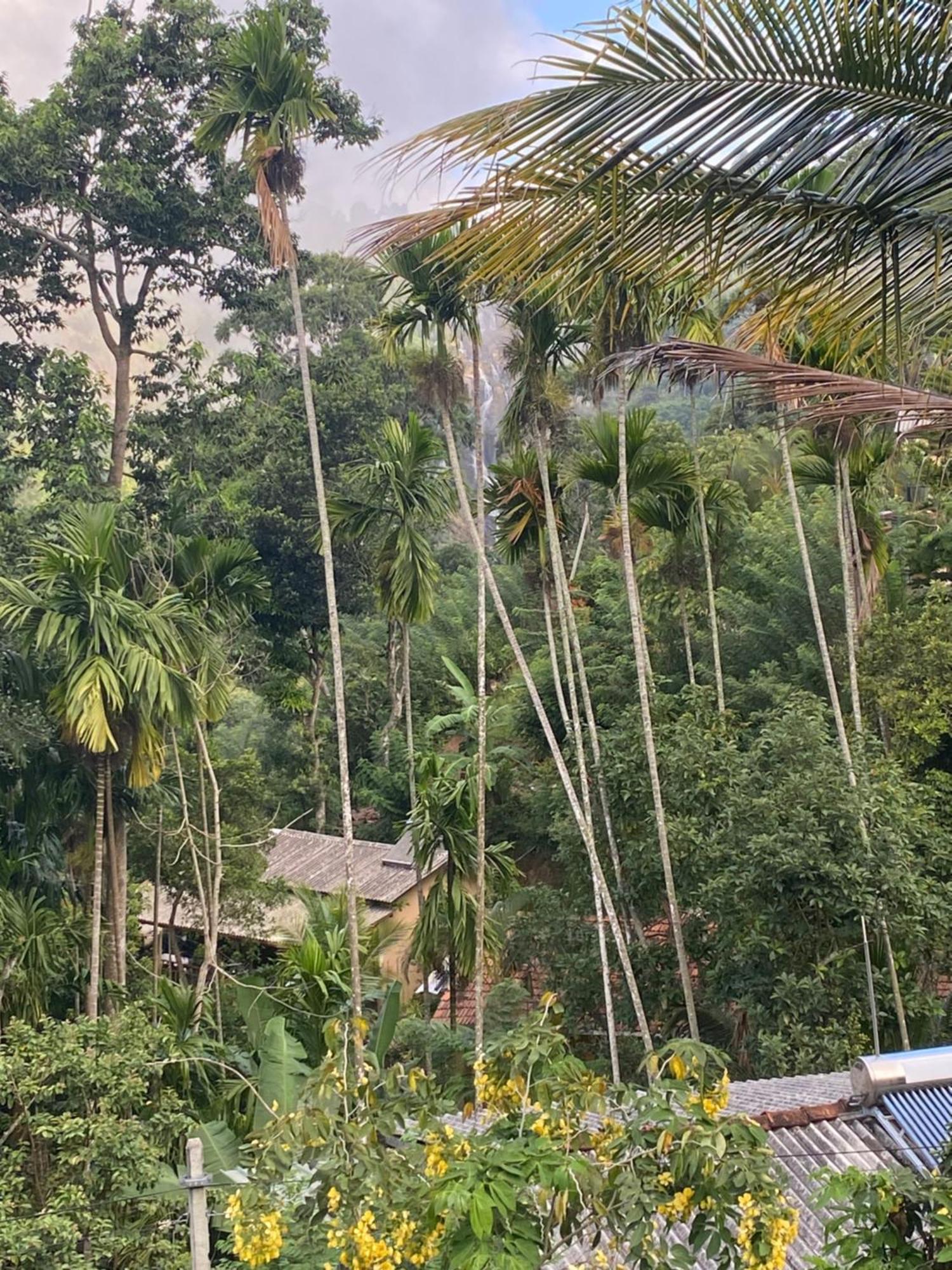 Cozy Homestay Waterfall Road Ella Exterior foto