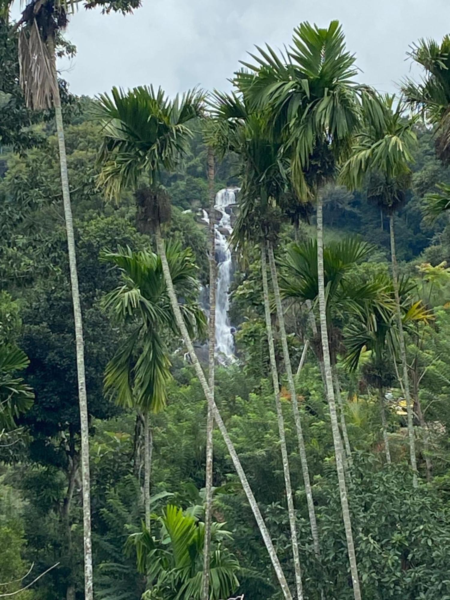 Cozy Homestay Waterfall Road Ella Exterior foto