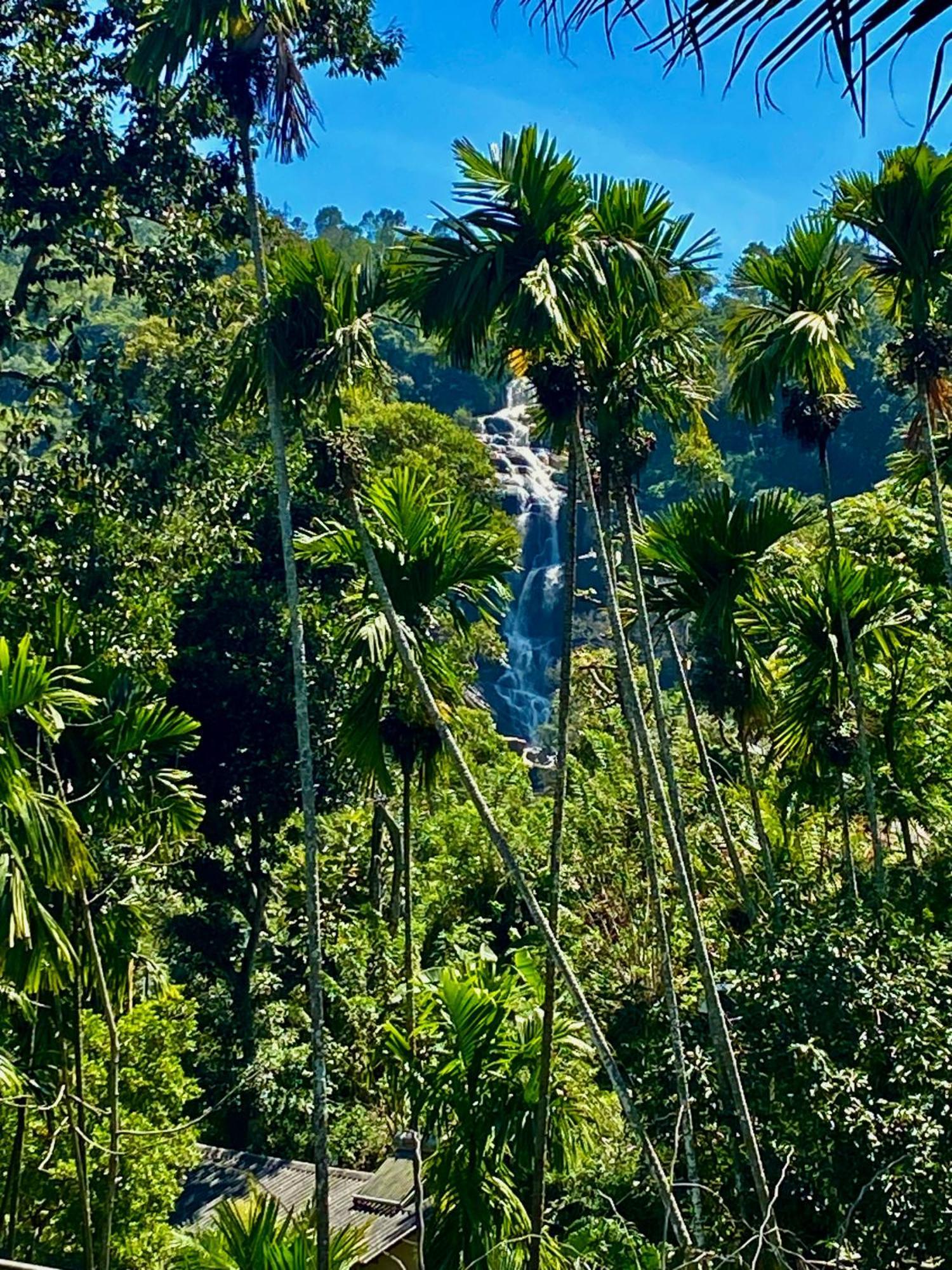 Cozy Homestay Waterfall Road Ella Exterior foto