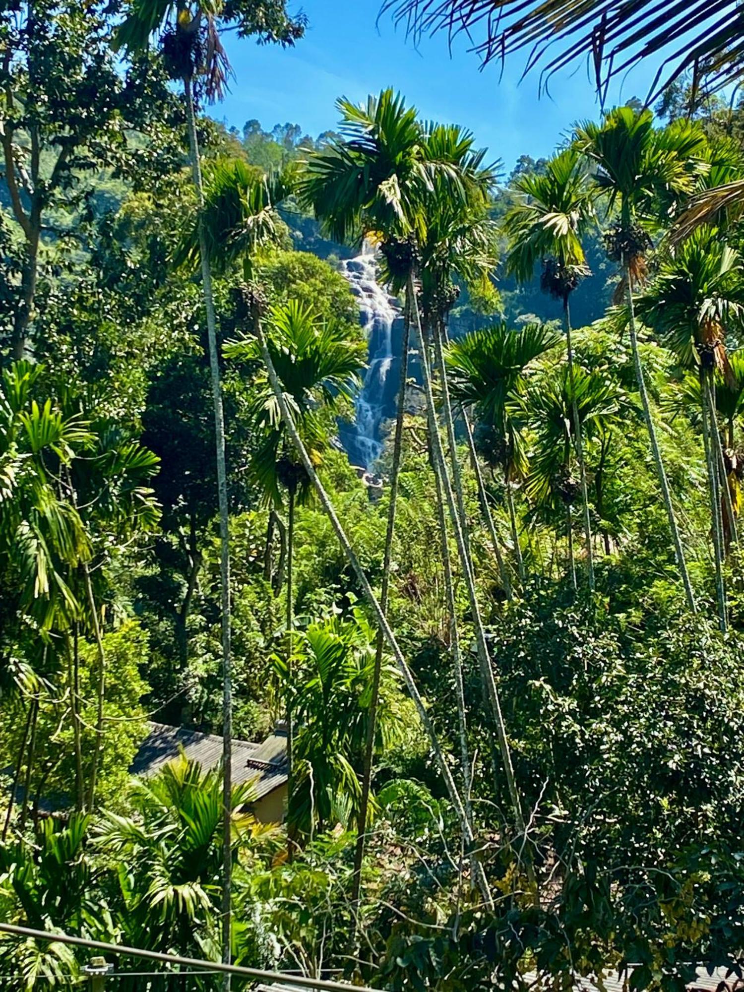 Cozy Homestay Waterfall Road Ella Exterior foto
