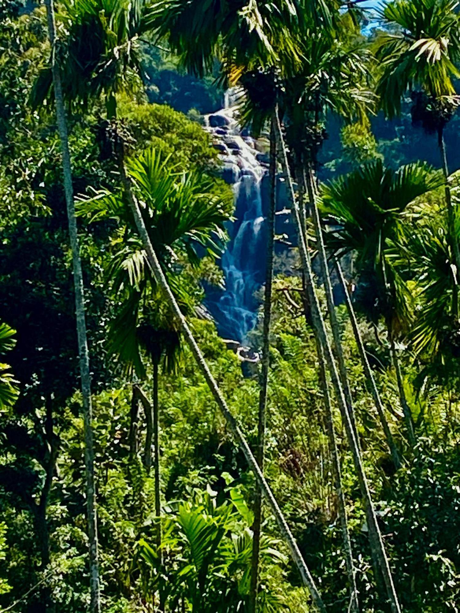 Cozy Homestay Waterfall Road Ella Exterior foto