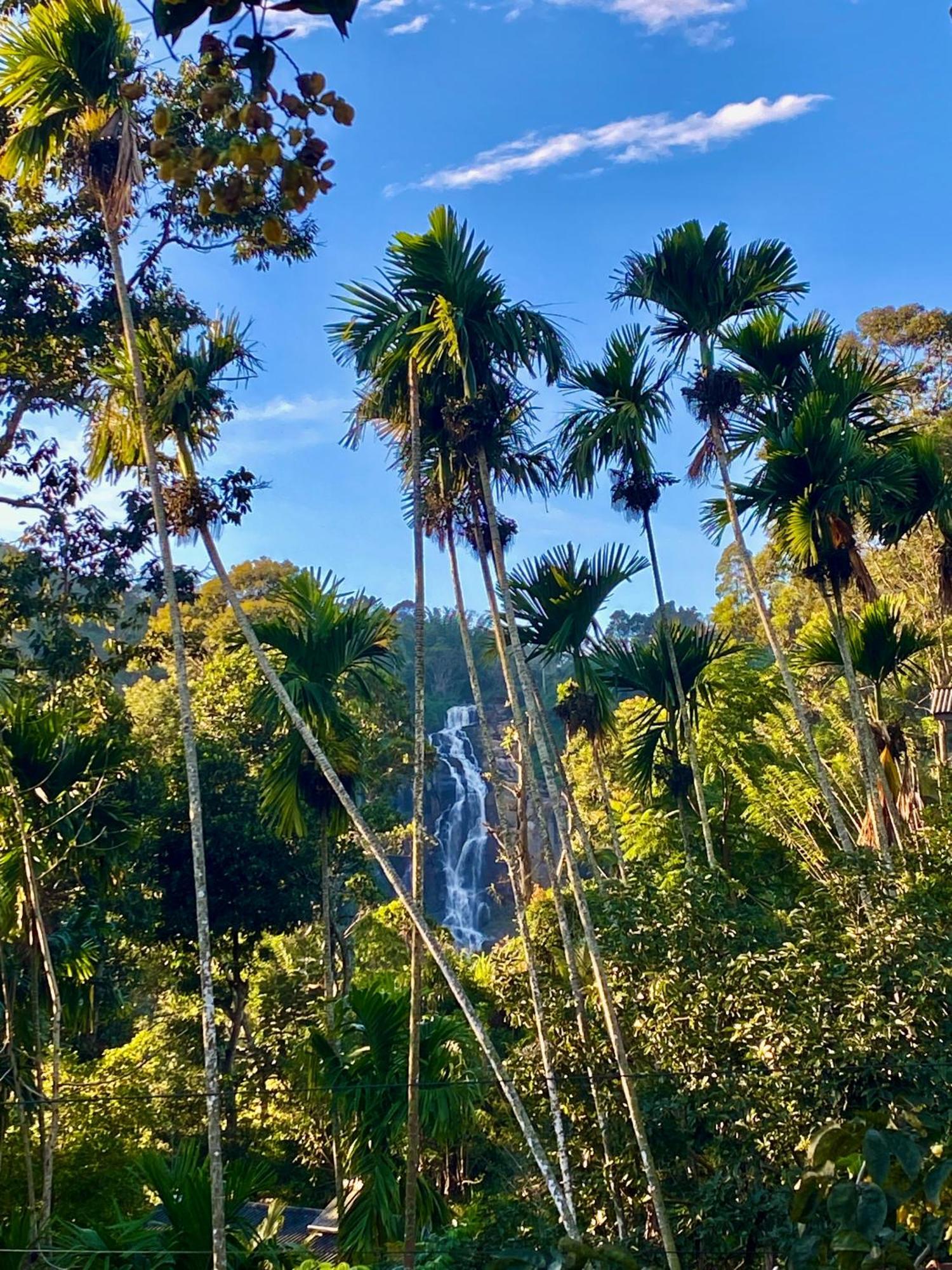 Cozy Homestay Waterfall Road Ella Exterior foto