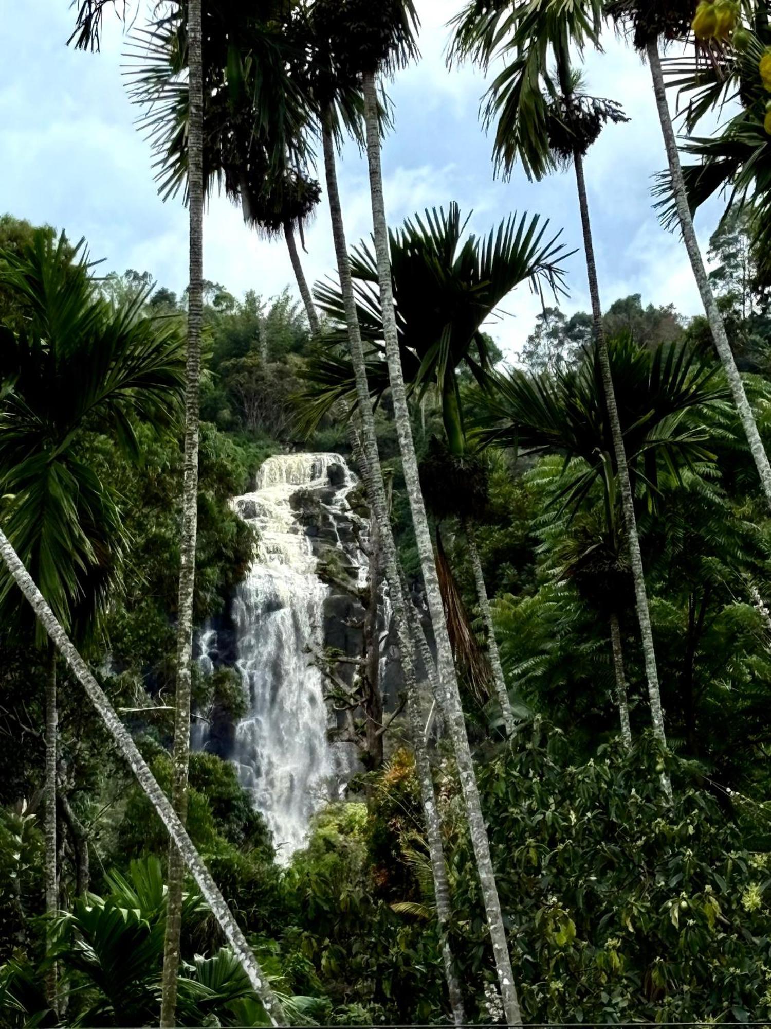 Cozy Homestay Waterfall Road Ella Exterior foto